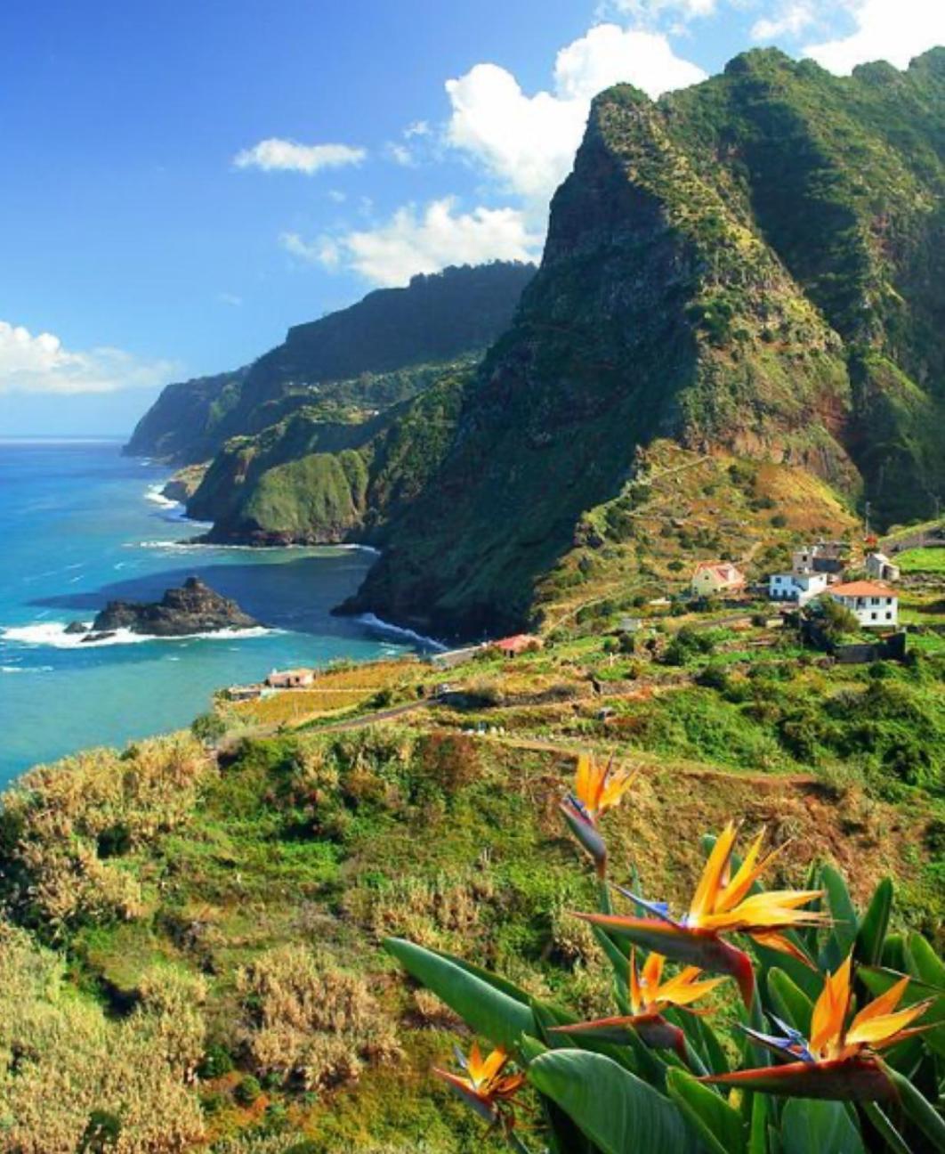 Pana House Lägenhet Calheta  Exteriör bild