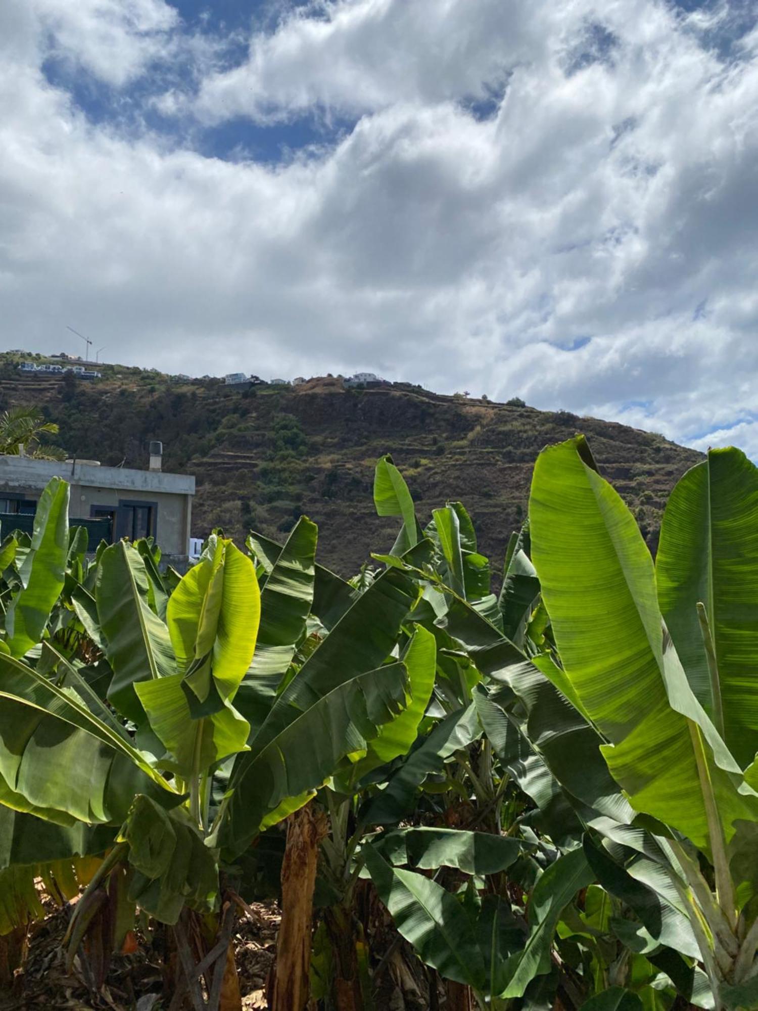 Pana House Lägenhet Calheta  Exteriör bild